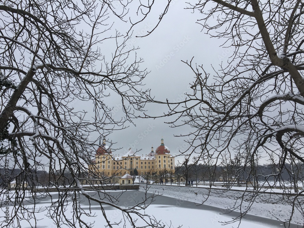 custom made wallpaper toronto digitalcastle in north of Germany 