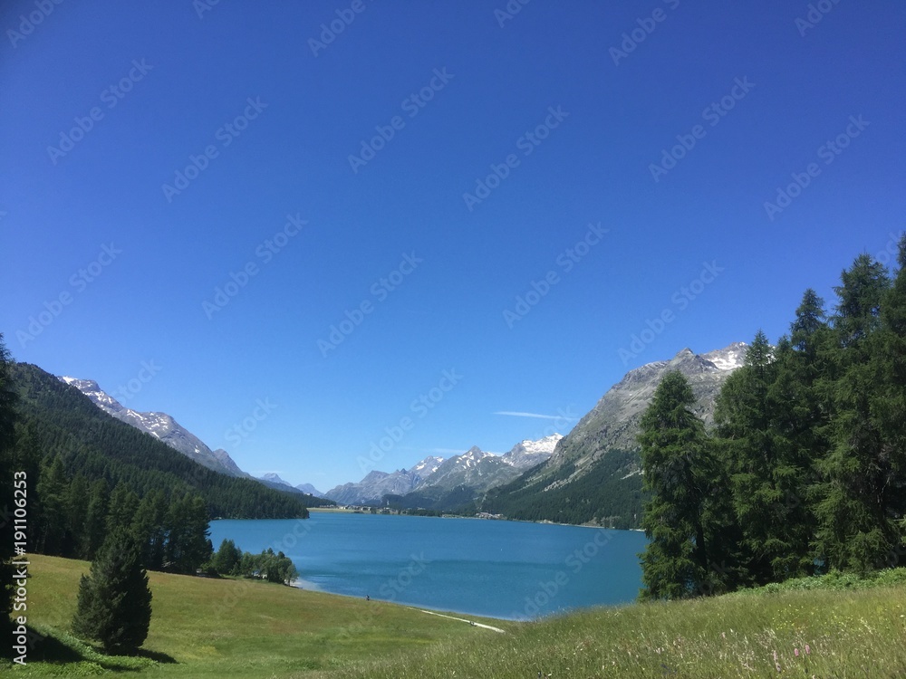 custom made wallpaper toronto digitala sunny day 