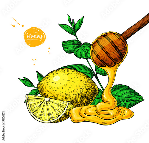 Honey with lemon and mint vector drawing. Wooden spoon, honey dr