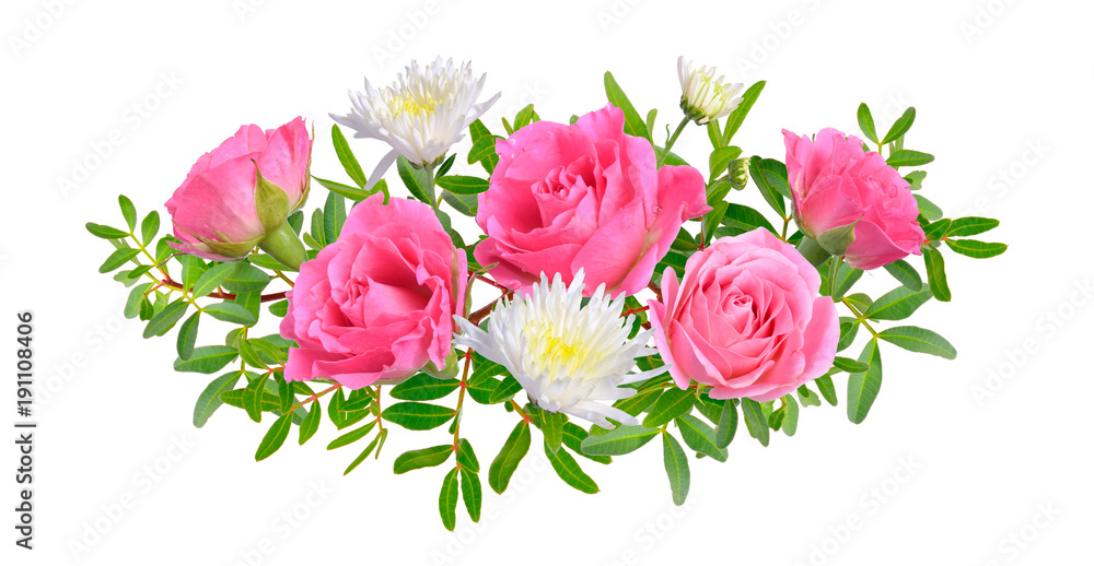 Composition with Pink rose with chrysanthemum. Isolated on white background