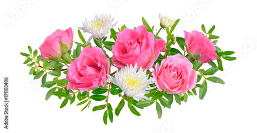Composition with Pink rose with chrysanthemum. Isolated on white background © spline_x