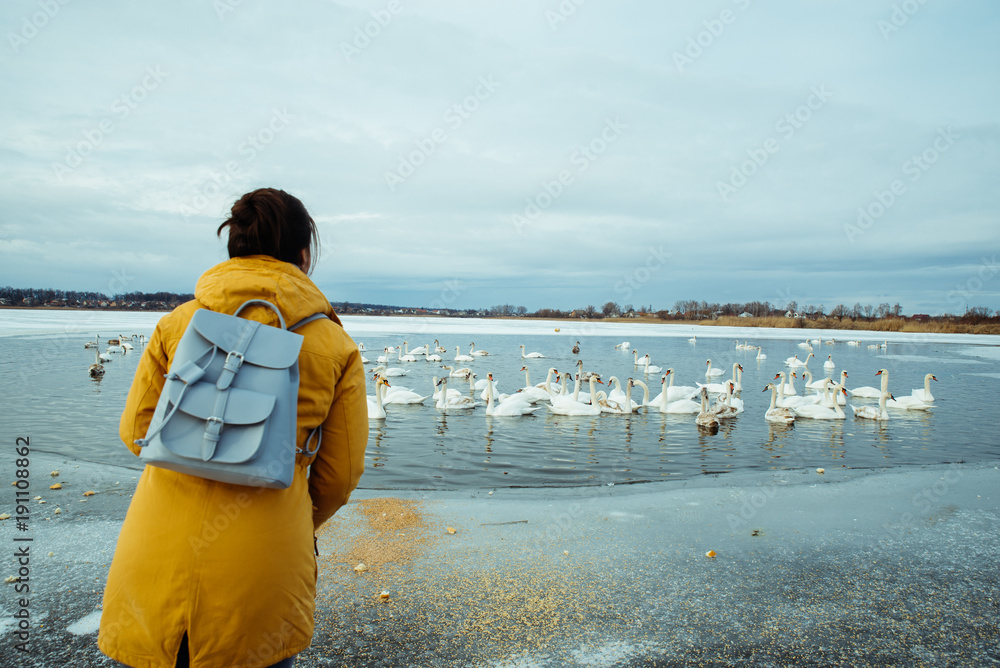woman feed swans on winter lake