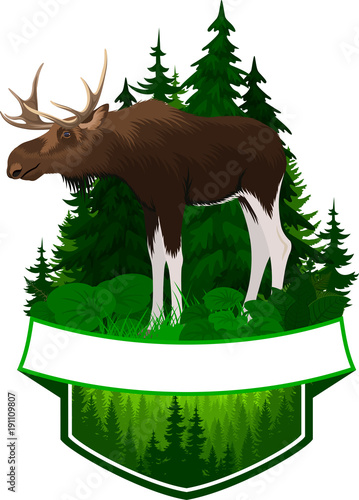 vector woodland emblem with moose bull