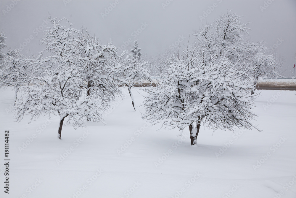 Fototapeta premium winter in the mountains - small Romanian village in the Carpathians covered with snow