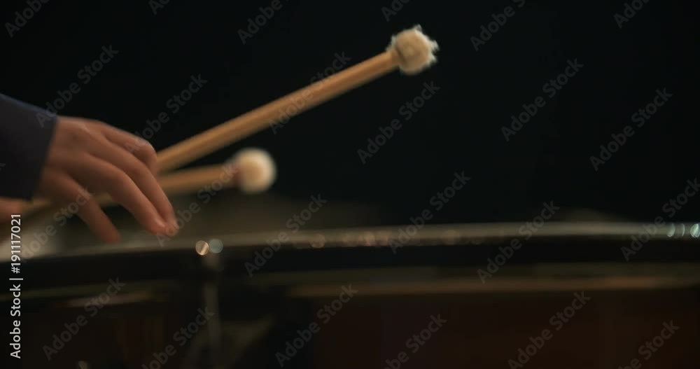 musician playing kettledrum
