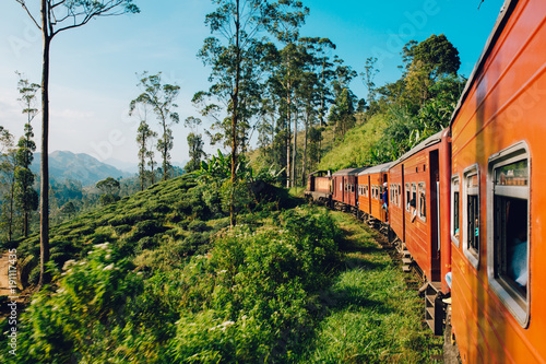 Canvas Print Best train ride in Sri Lanka