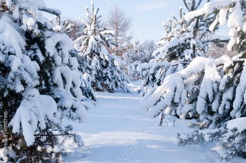 Winter landscape of the city park after a heavy snowfall in winter