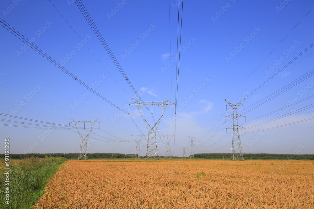 Dense high voltage towers, under the blue sky