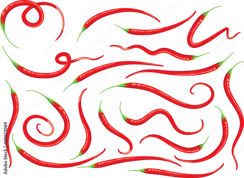 Fototapeta premium chilil