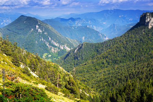 view of forest  mountains landscape