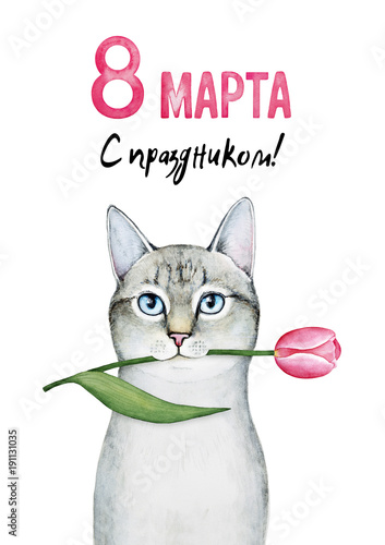 International Women's Day postcard design with text of congratulation on Russian language: "8 March. Happy Holiday!" and cute little kitten portrait. Hand drawn water color graphic, white background.