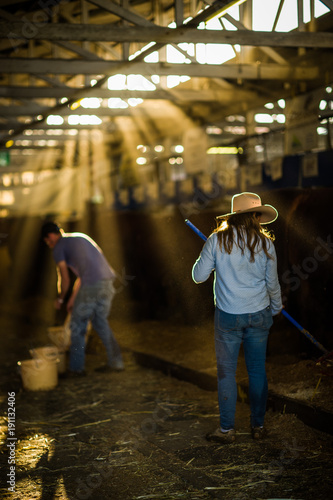 cleaning up the cattle stalls