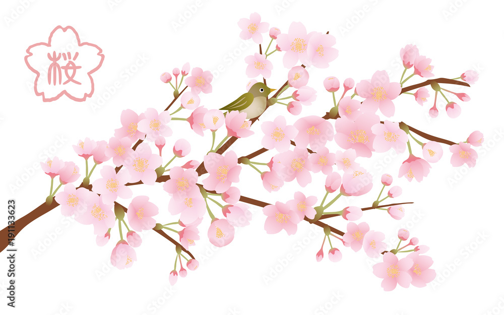 桜の木 イラスト素材 Stock ベクター Adobe Stock