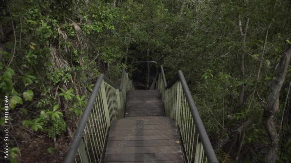 Walking Down Outdoor Stairs in a Forest Walking Down Outdoor Stairs in a Forest