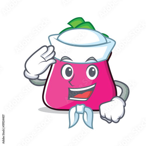 Sailor purse character cartoon style
