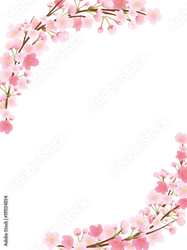 桜のフレーム素材