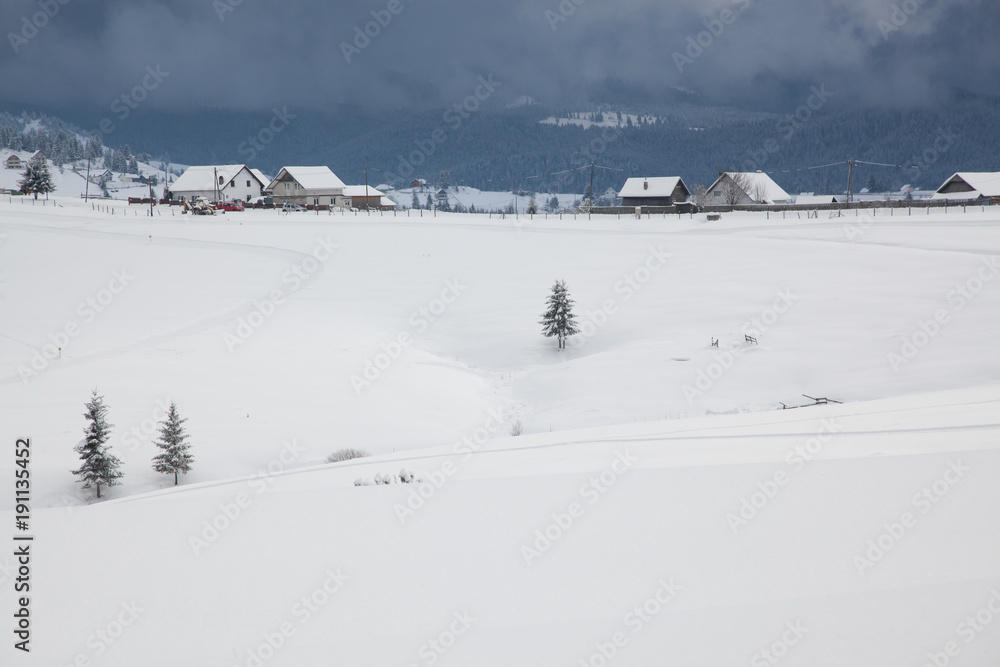 winter in the mountains - snow covered fir trees - Christmas background