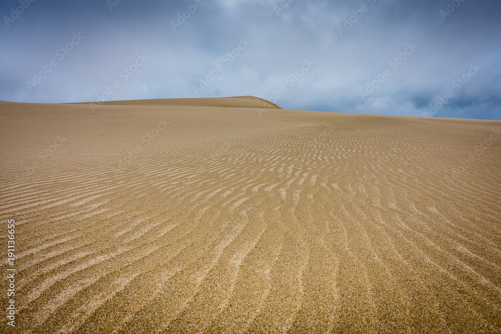 Fototapeta premium Sand Dunes
