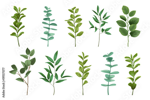Bouquet Greenery Set