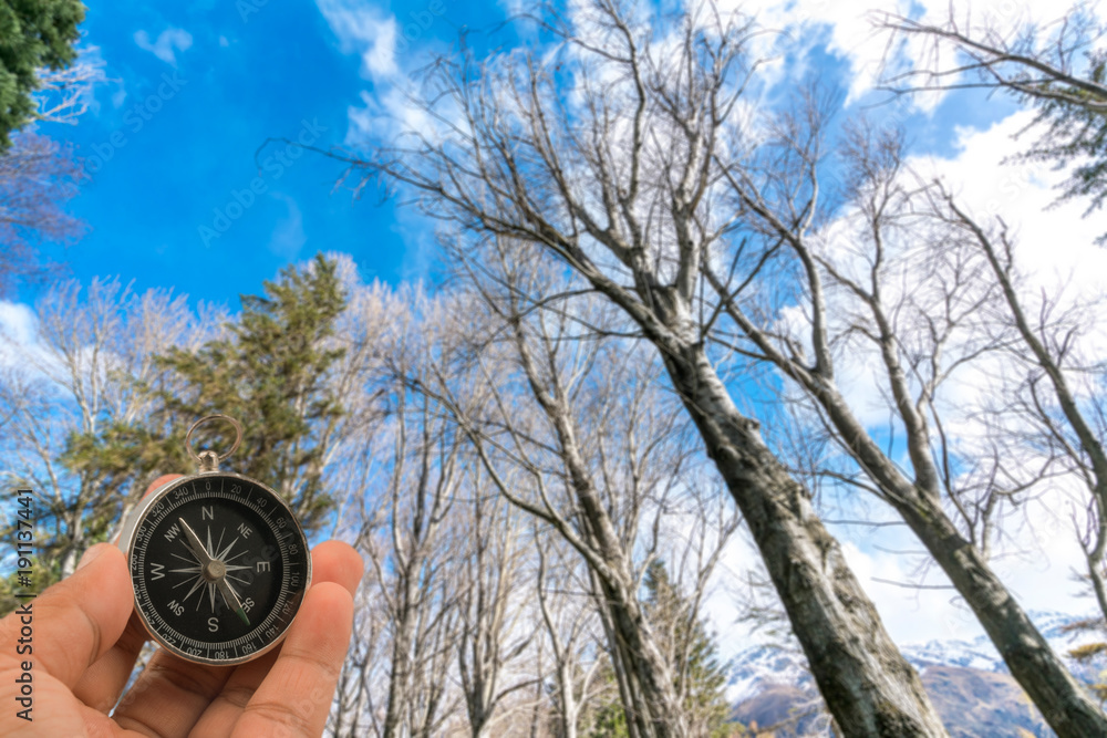 Naklejka premium Compass with natural blur background. Travel concept.
