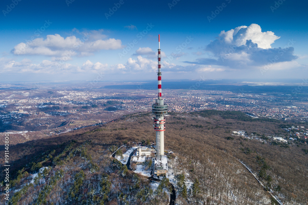 Obraz premium TV tower in forest