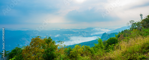 Mountain Mist, thailand