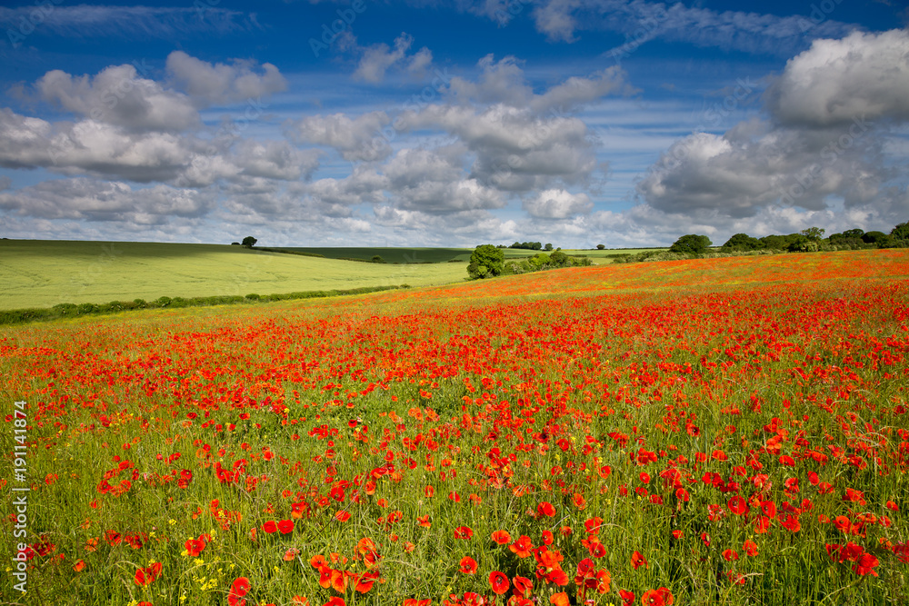Blandford, Dorset, England