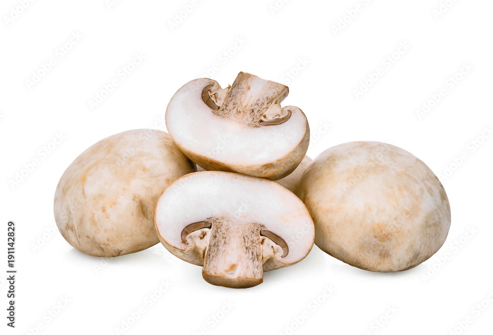 champignon mushroom isolated on white background champignon mushroom isolated on white background