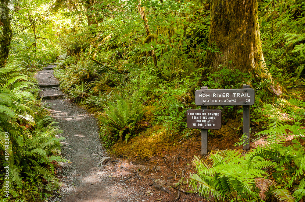 Hoh river trail camping cheap