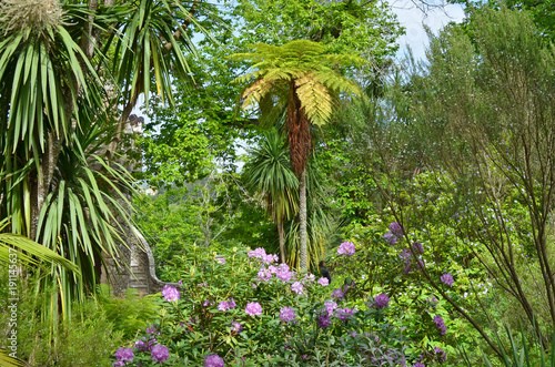 Part of the tropical southern public park. Palms and exotic plants grow.