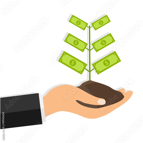 Tree with cash on hand. A man holds a handful of land with a money tree. Businessman hand with coin tree.