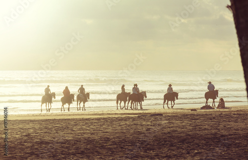 Fototapeta Naklejka Na Ścianę i Meble -  Horse tour
