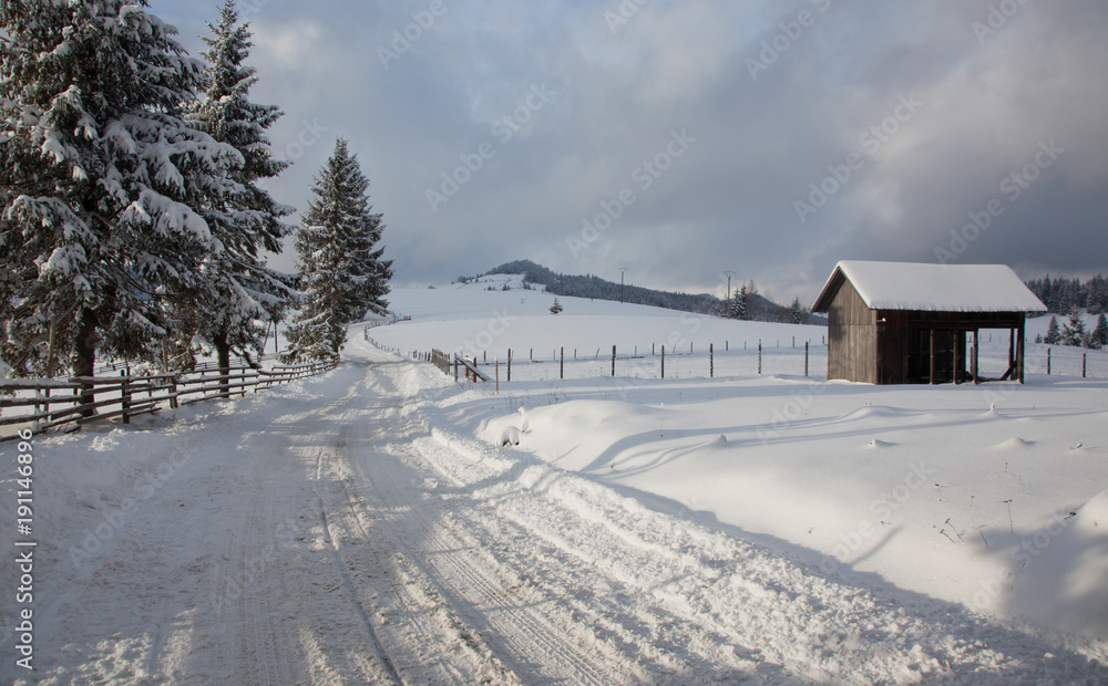 winter in the mountains - small Romanian village in the Carpathians covered with snow