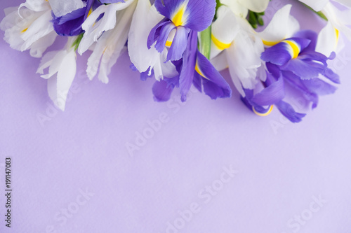 Spring flowers. purple irises flowers on violet background. Greeting card style. place for text, Top view flat lay with copy space for slogan or text