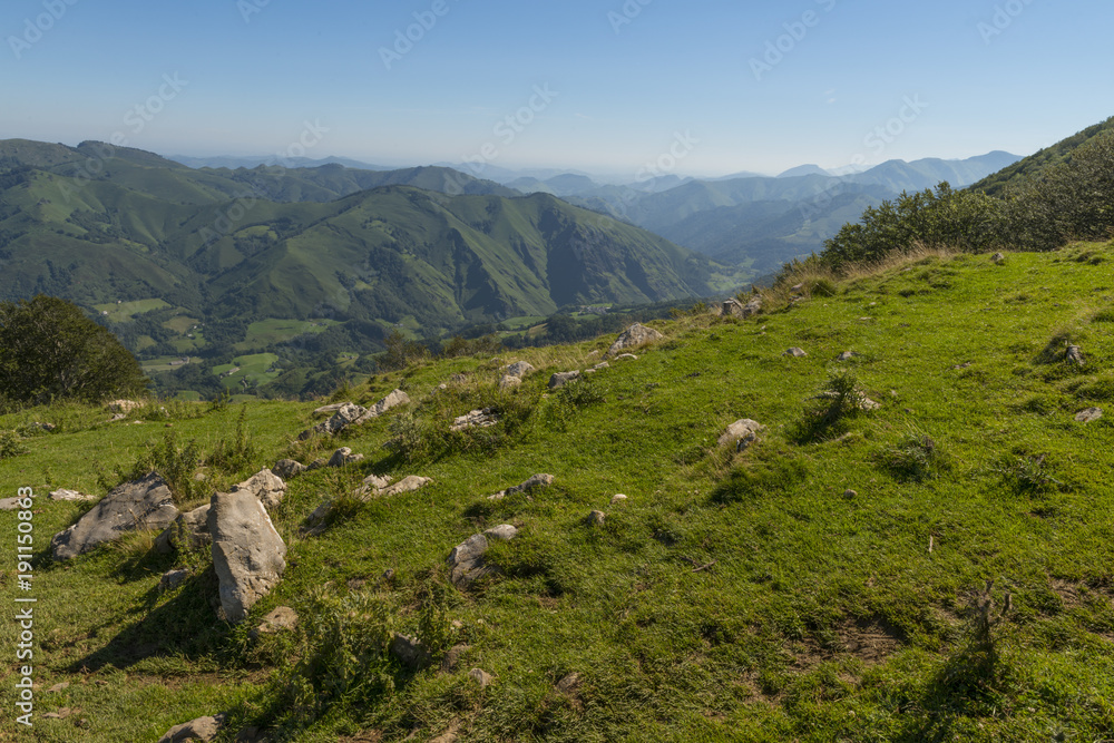 Fototapeta premium Les estives dans les Pyrénées au Col de Larrau.