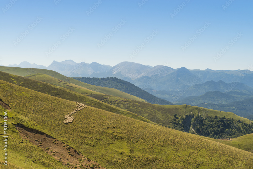 Les estives dans les Pyrénées au Col de Larrau.
