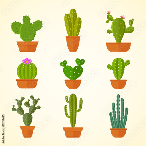 Cactus decorative home plant in pots flat vector icons