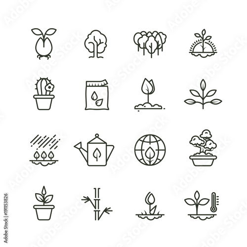 Plant, planting and seed line vector icons. Sprout growing symbols