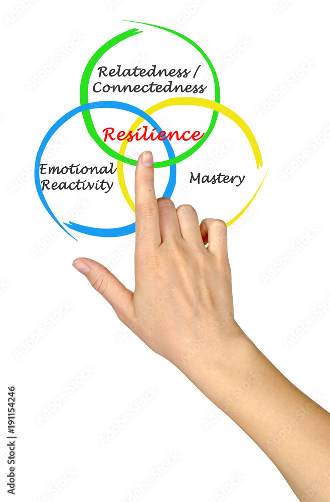 Components of Resilience Components of Resilience