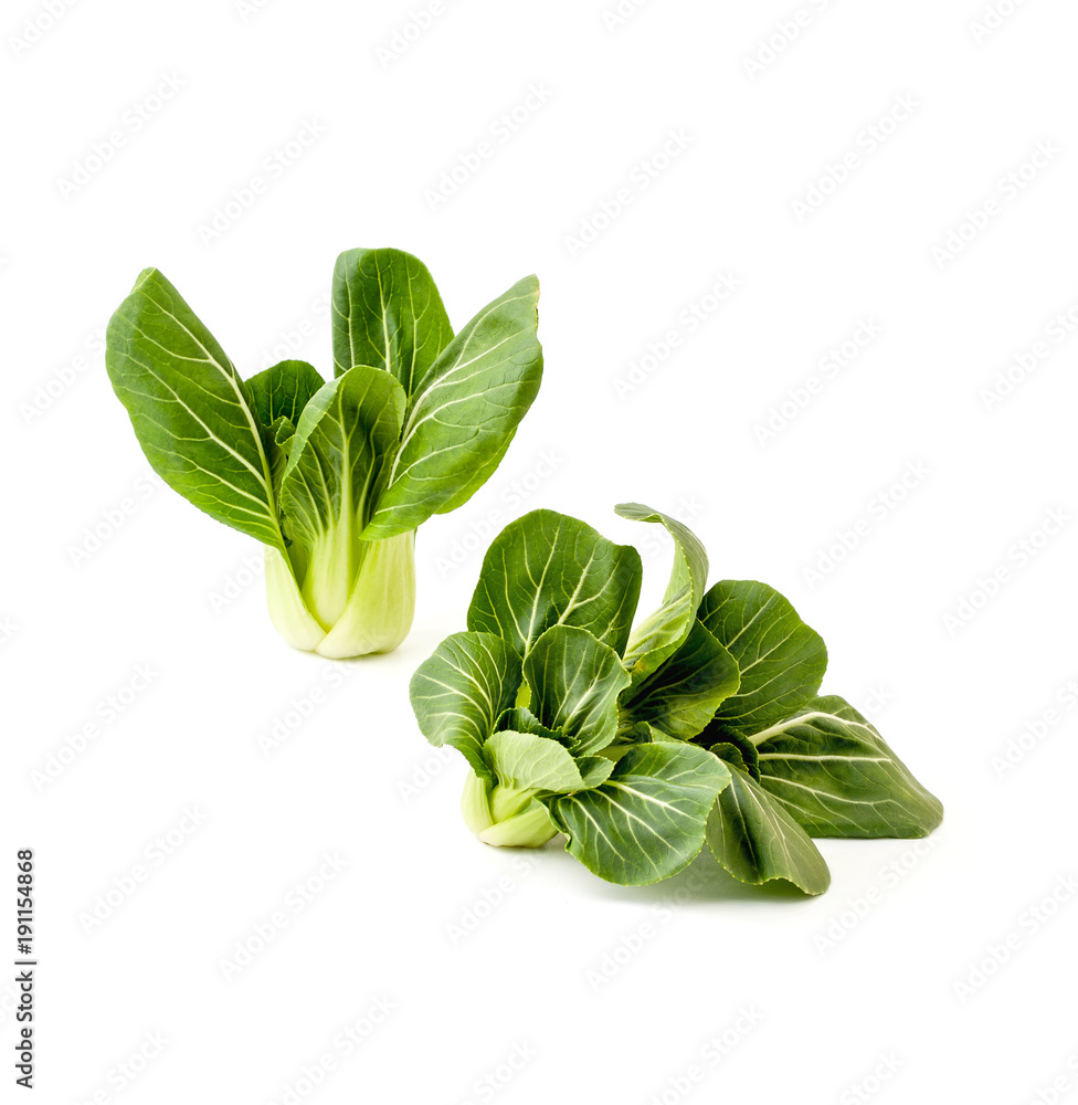 Fototapeta premium Two bunches Fresh green salad Pak-choi (Chinese cabbage) on a clean white background. Isolated.