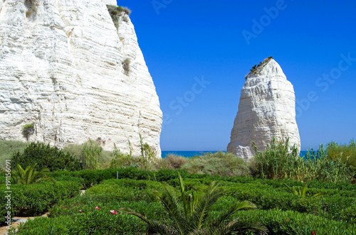 The marine landscapes and the colors of the Gargano photo