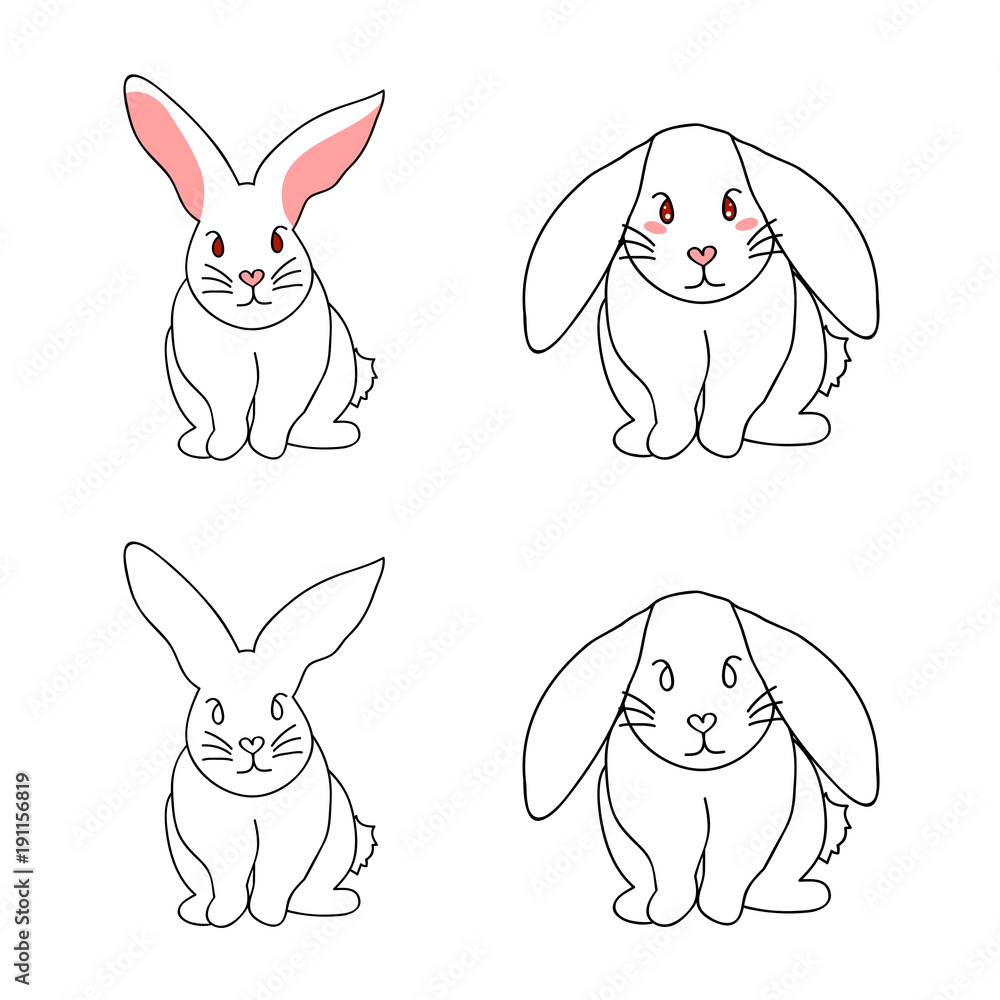 Fototapeta premium Cute White Rabbit isolated on White Background.