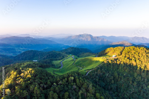 Aerial view of Mexican Flower with cuved road on the mountain peak, Mea Hong Son Province, Thailand