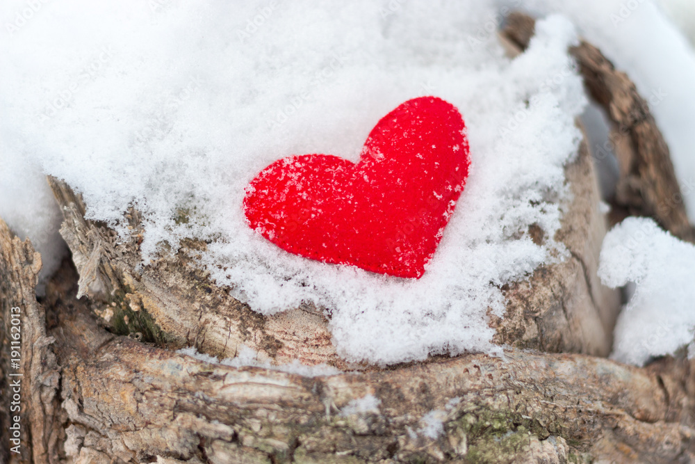 Fototapeta premium red felt heart figure on tree under snow, winter day