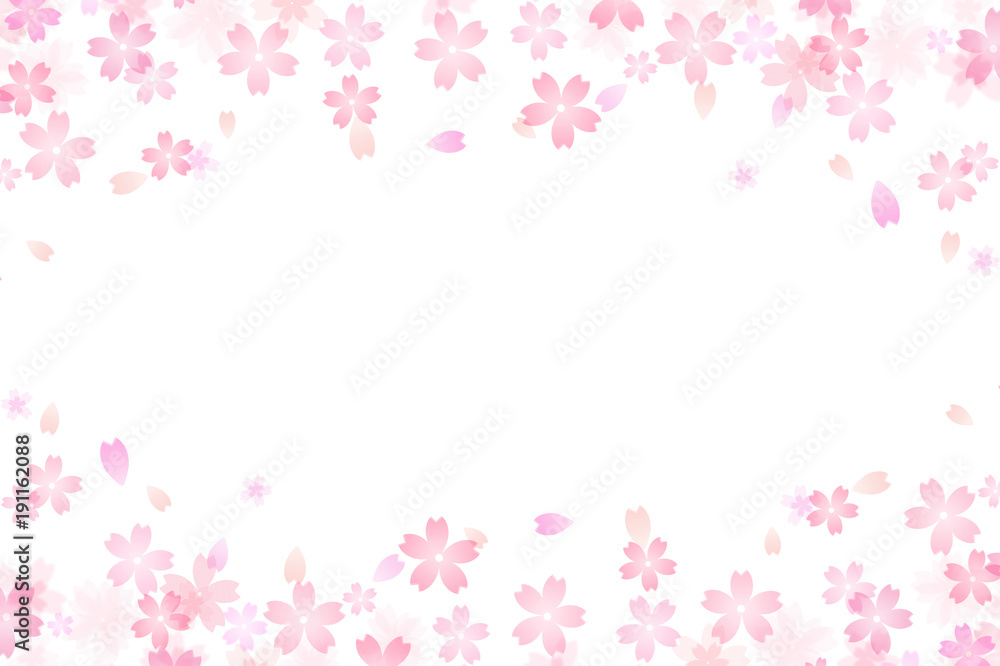 Japanese cherry blossom abstract on white background