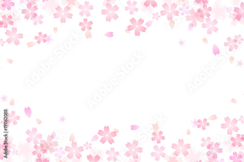 Japanese cherry blossom abstract on white background