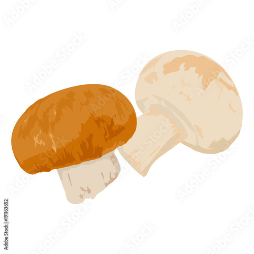 Champignons