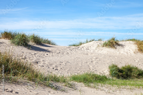 Sandy dunes at Baltic sea.