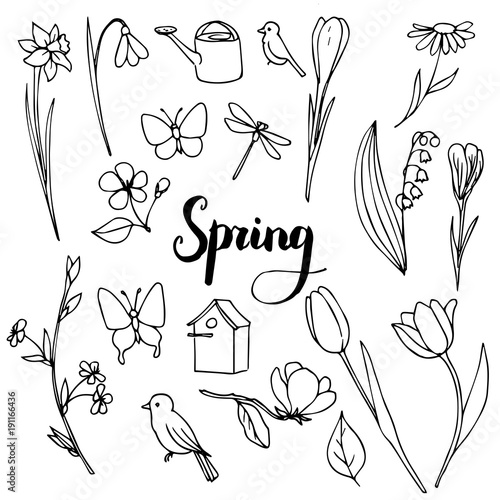 vector spring doodle set