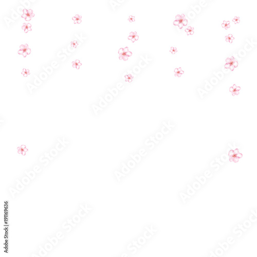 Sakura, Peach Cherry or Apple Flowers Vector Confetti. Elegant Falling Down Spring Romantic Floral Decoration. Magic Wedding Decoration, Realistic Sakura Cherry, Peach or Apple Blossom Background